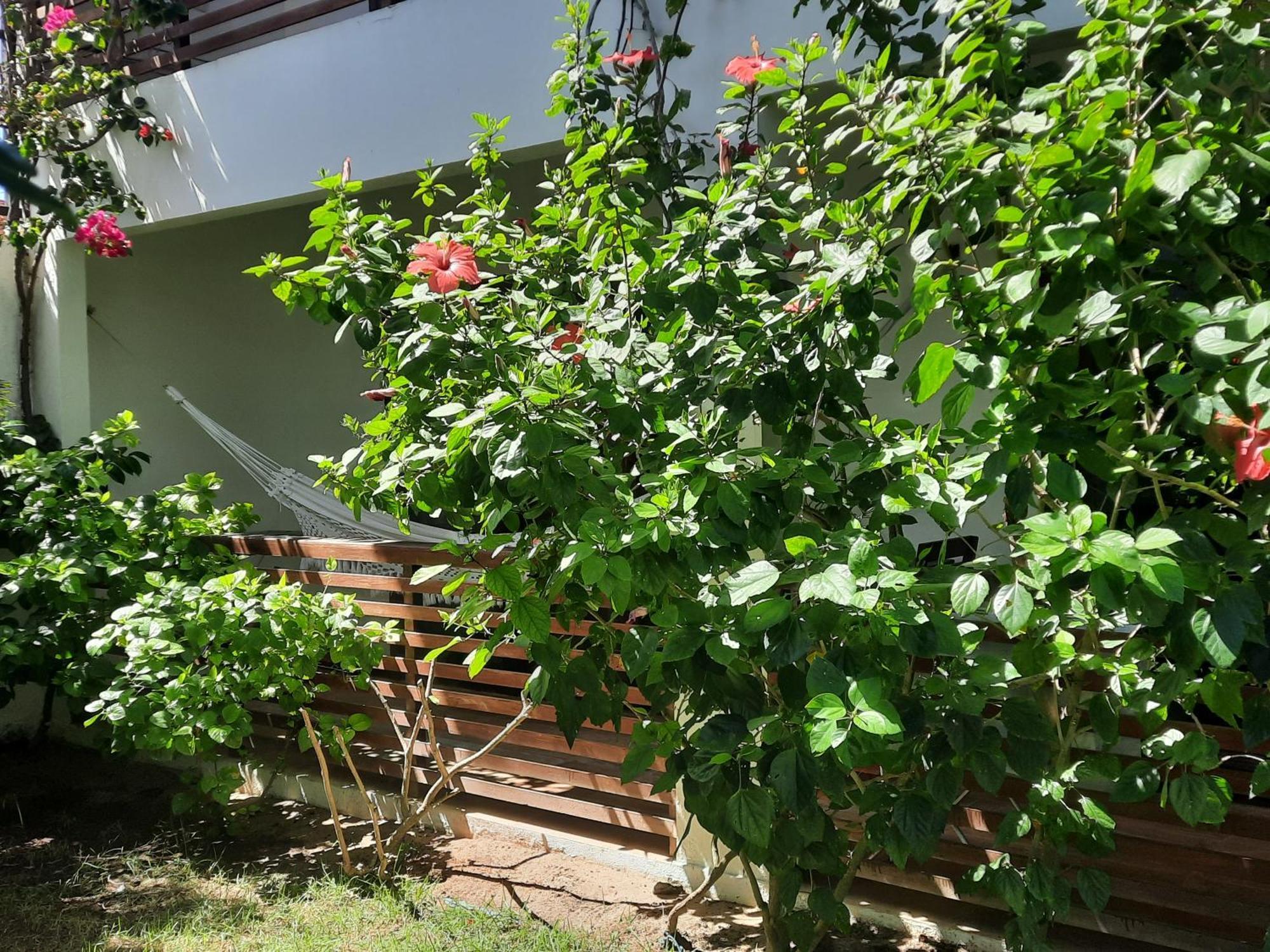 Casa Betti Βίλα Jijoca de Jericoacoara Εξωτερικό φωτογραφία